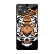 Angry Tiger Glass Case For Mi 11 Lite NE 5G Online Hot Sale