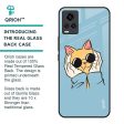 Adorable Cute Kitty Glass Case For Vivo Y73 Online Hot Sale