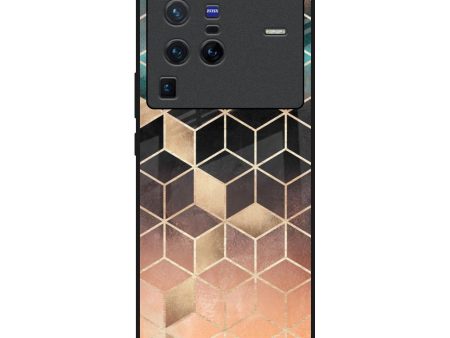 Bronze Texture Glass Case for Vivo X80 Pro 5G Supply